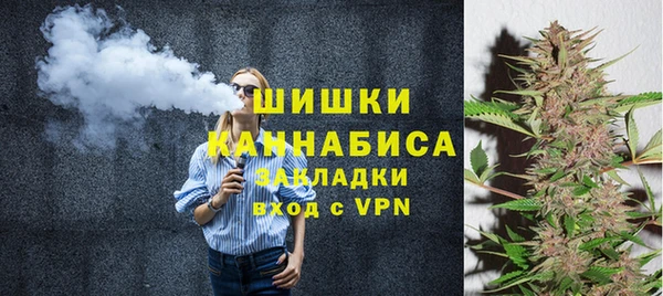 шишки Осташков