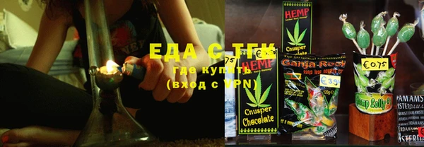 шишки Осташков