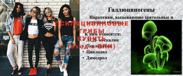 шишки Осташков