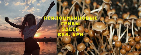 шишки Осташков